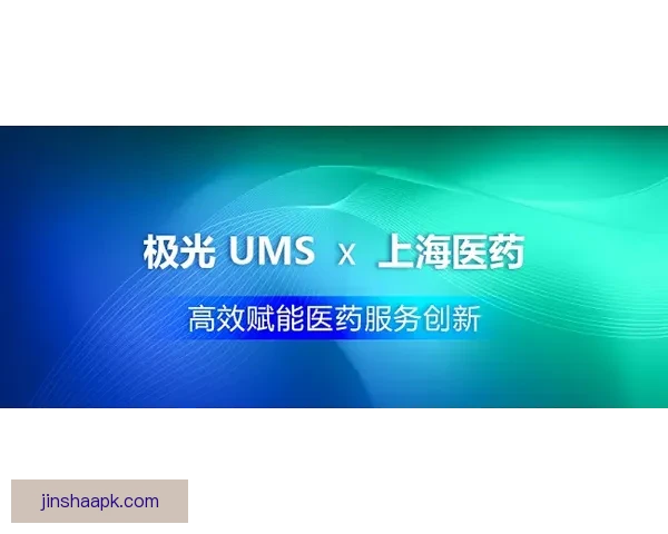 围绕金沙稳定平台打造安全高效创新发展的数字化服务新生态标题
