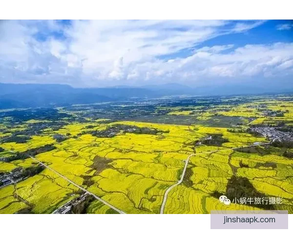 金沙官网无法打开怎么办 解决金沙官网无法访问问题的有效方法与步骤